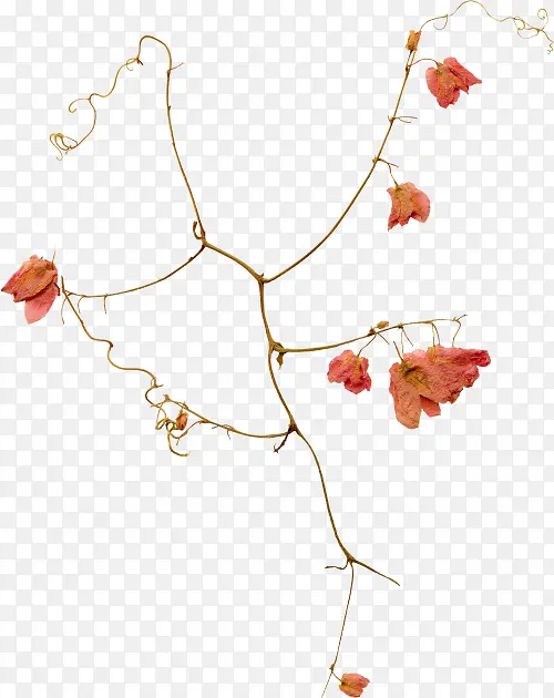 �ɹ���Ʒ���� �鱦 �����鱦-������