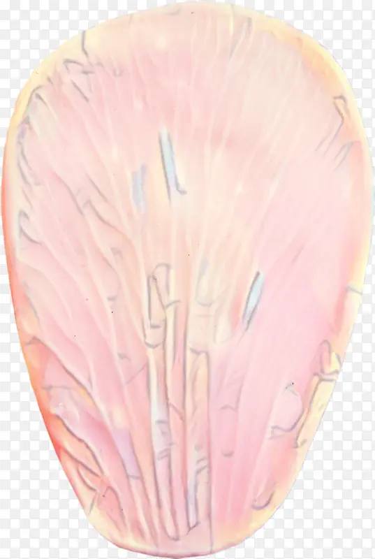 �;� ��ɫ ��ë-������