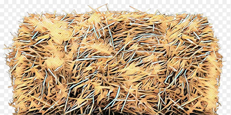 ���� ȫ���� ��-������