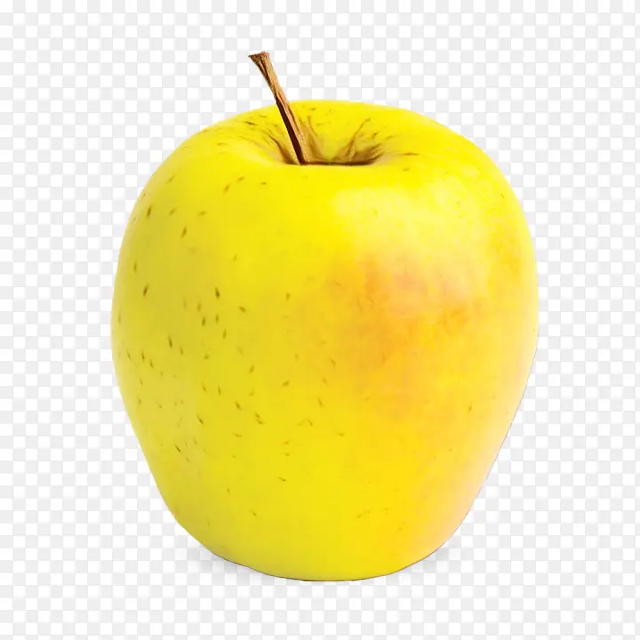 ʳƷ ��ɫ ����ʳƷ-������