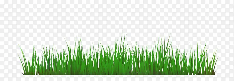 ����� ��� ����Ʒ-������