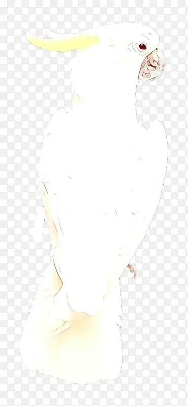 ���� ���� ��ɫ-������