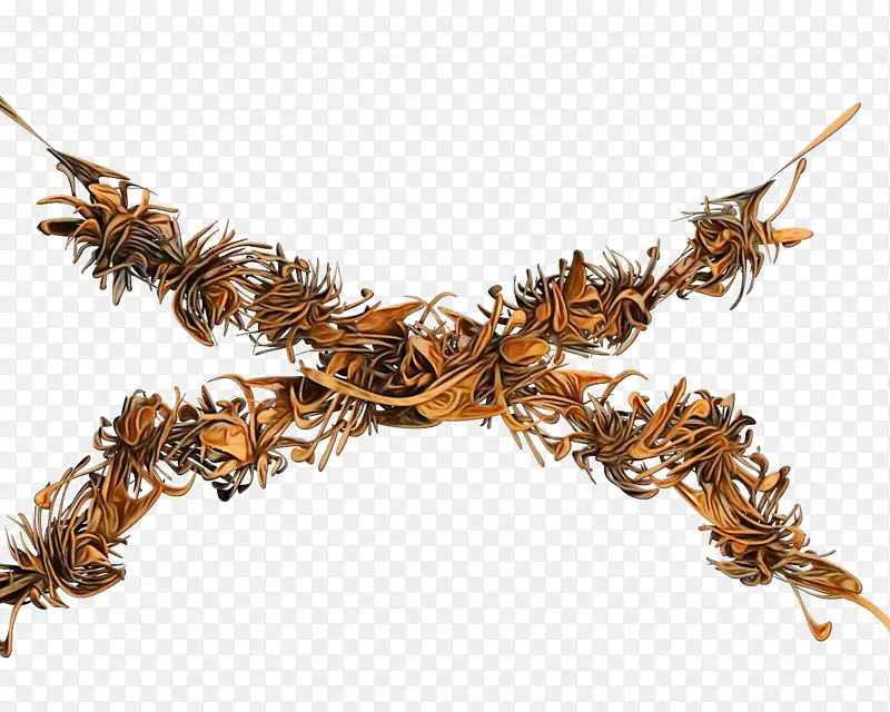 ���� Ĥ ֲ��-������