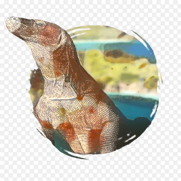 ���� ���� �մ�-������