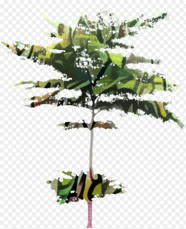 ��֦ ���� ֲ�ﾥ-������