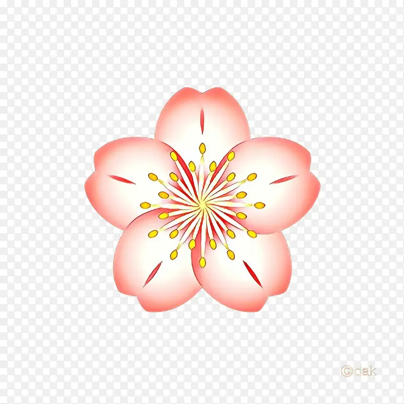 ���� ֲ�� ����-������