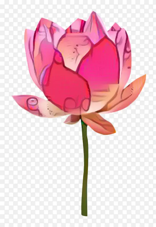 ˯�� ���� ��������-������