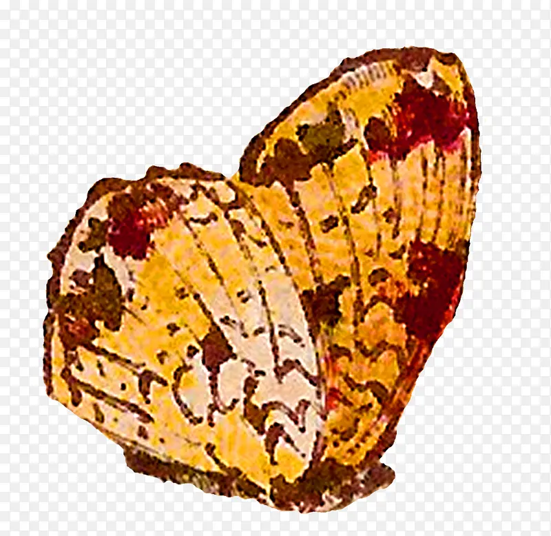 ���� ���� �ɶ�ͺ���-������