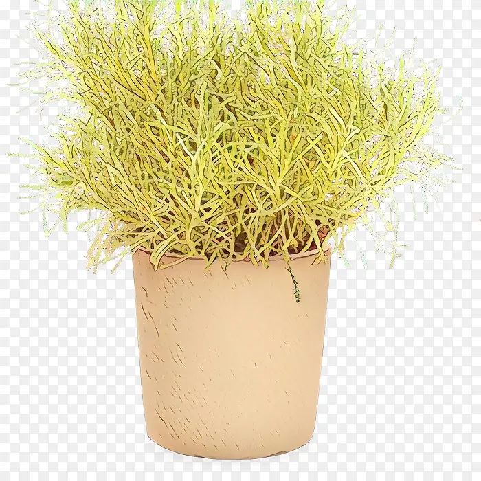 �� �ݱ�ֲ�� ����-������