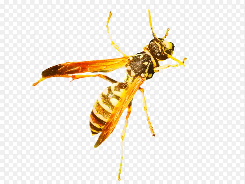 ��Ʒ� �۷� �����-������