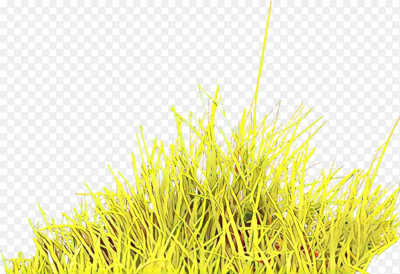 �� ��Ʒ �����-������