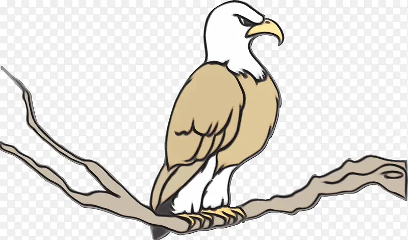 �������� ��ͨ ͺ��-������