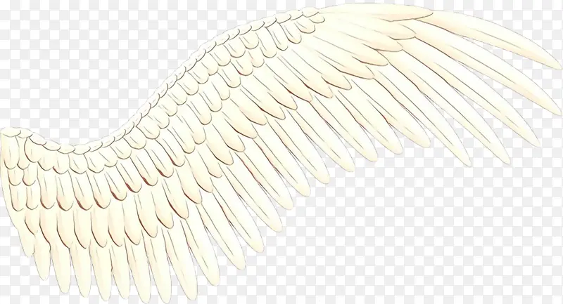 ���� ��ɫ ���-������