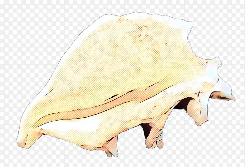 ��ͷ ���� ͷ��-������