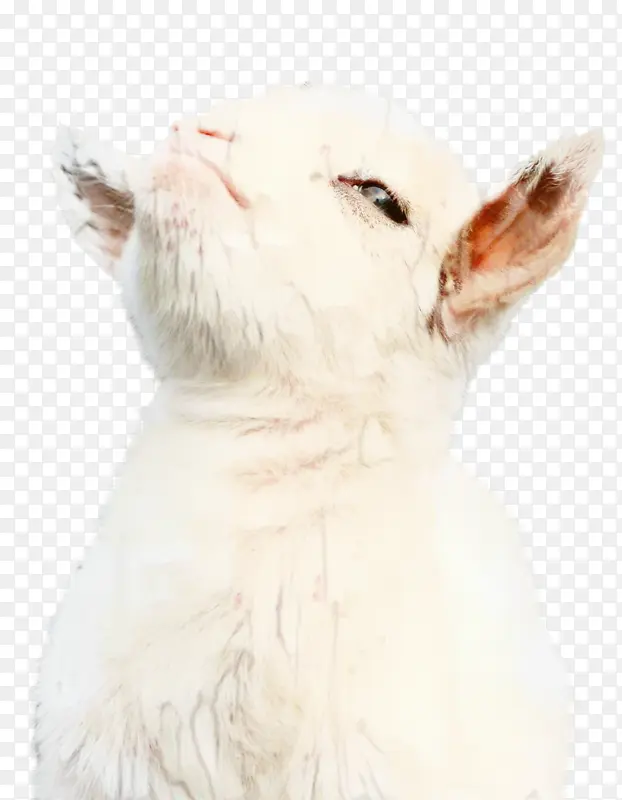 �� ���� ����-������