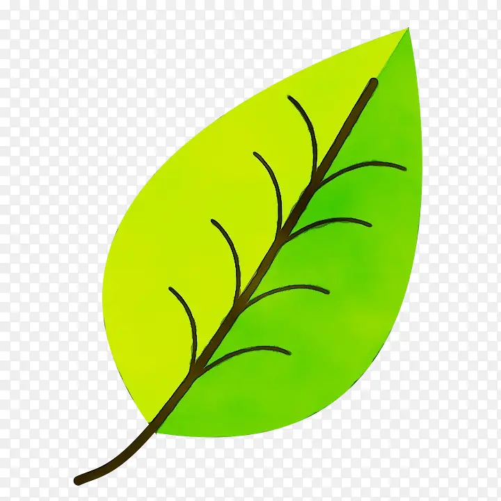 ��Ҷ �滭 ˮ�ʻ�-������