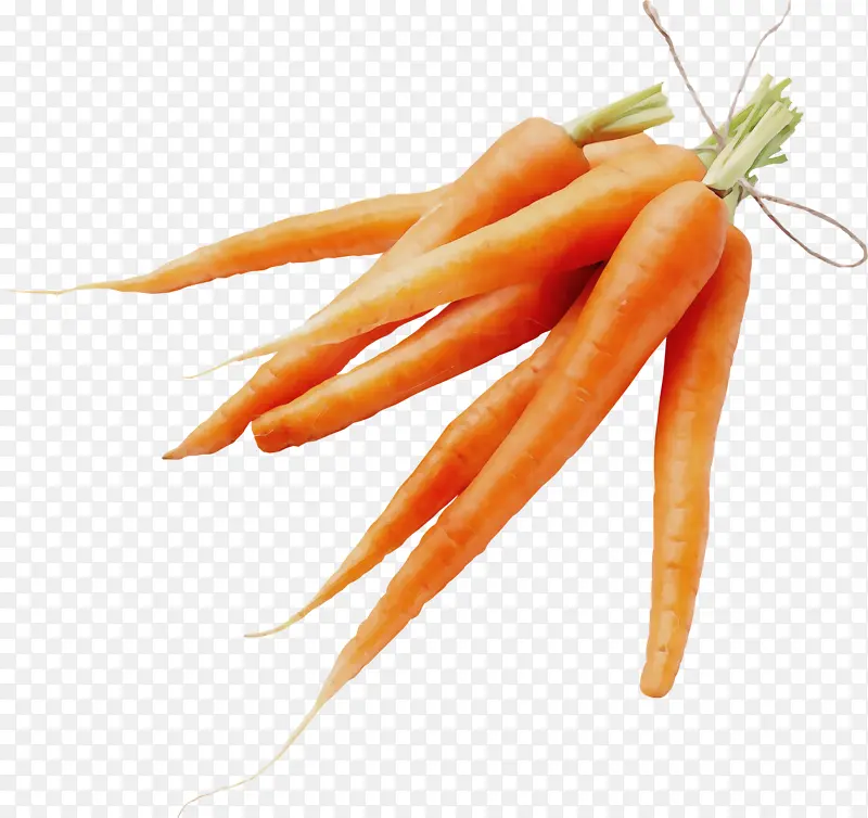 �߲� ˮ�� ���ܲ�-������