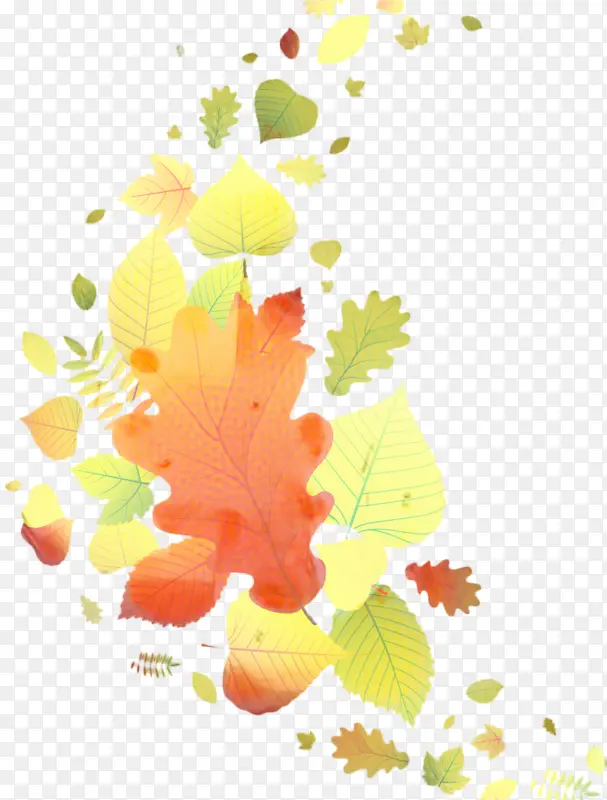 ���� ��ɫ ����-������