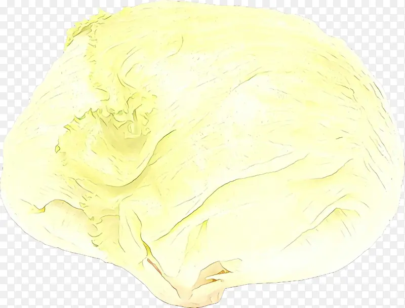 ��ɫ ���Ĳ� ʳƷ-������