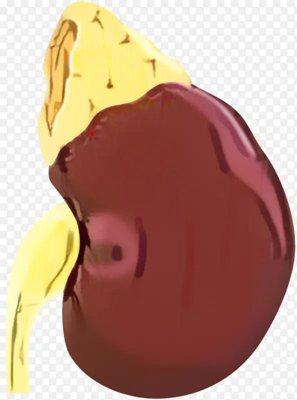 ���� �Ƶ� ����-������