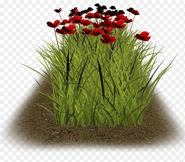 �羰�� �羰 ����-������