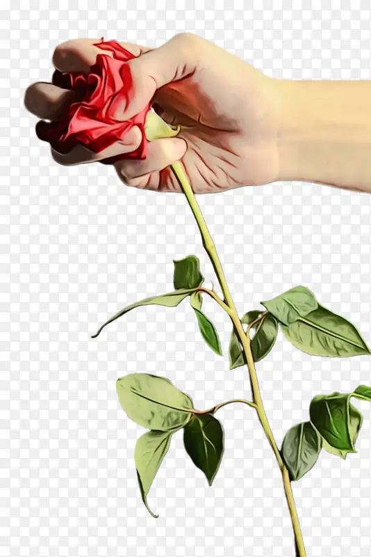 õ�� ���� ����-������