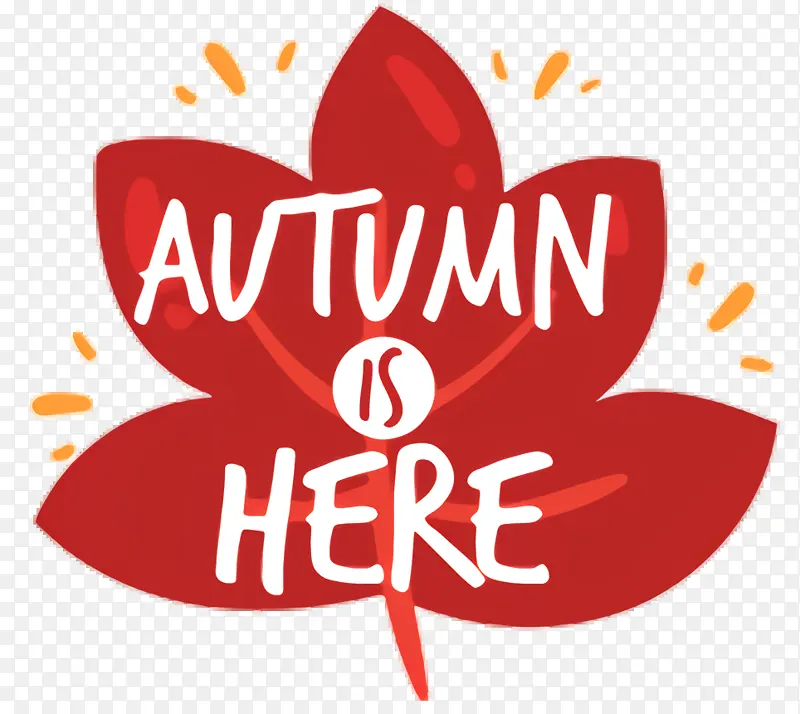 ���ҵ����� ˮ�� ����-������