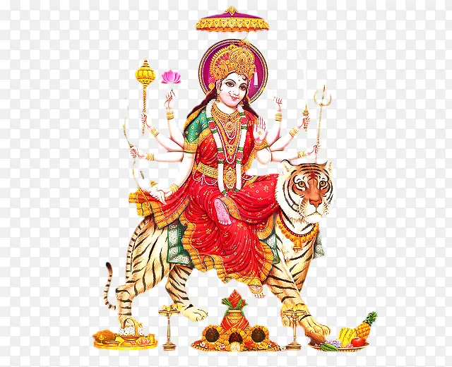 ��ʦ�� ���� ���Ȱ�ʲ����-������