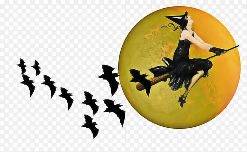 ���� Ĥ ��ɫ-������