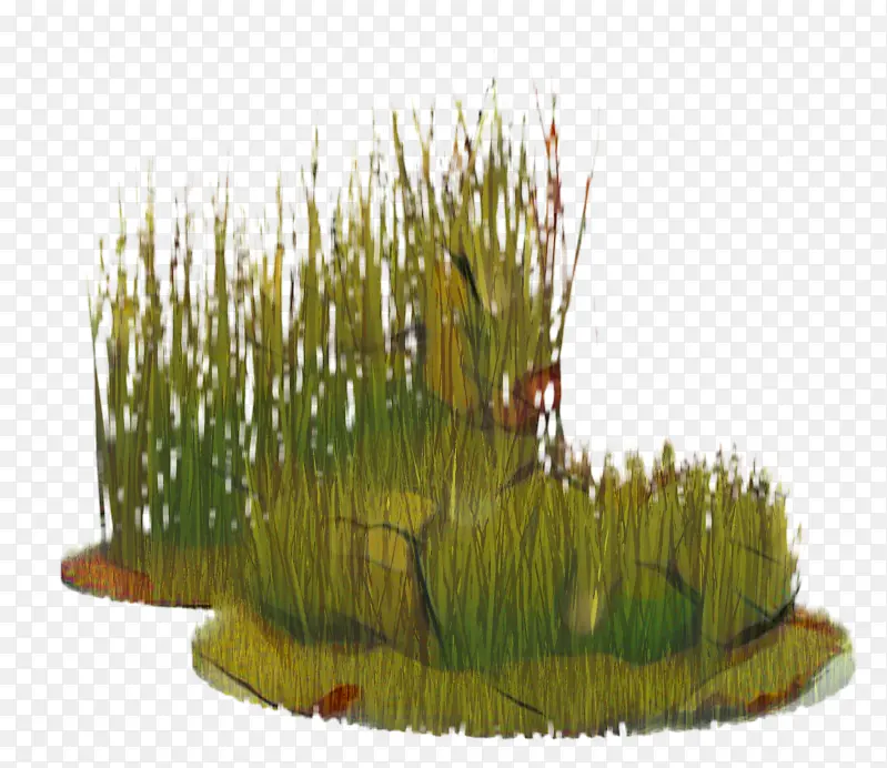 �� ˮ��� ��-������