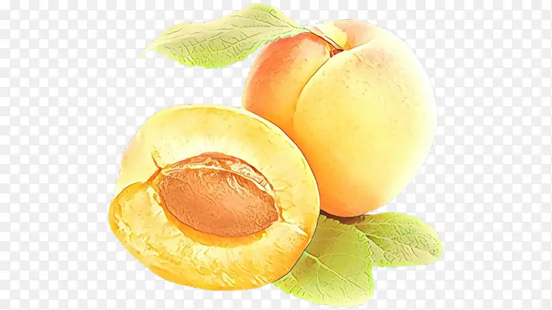 �� ʳƷ �������񵰸�-������