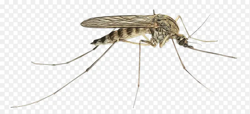 ���� ��ɫ���� ����-������