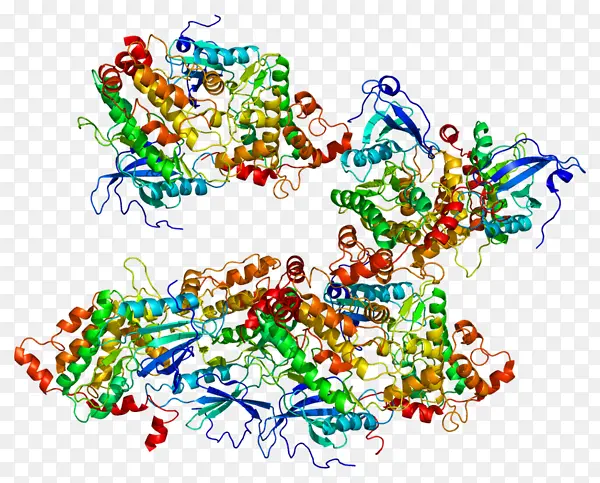 ʳ�� ���� ��-������