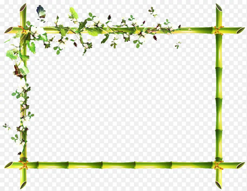 ��֦ ֲ�ﾥ ��-������