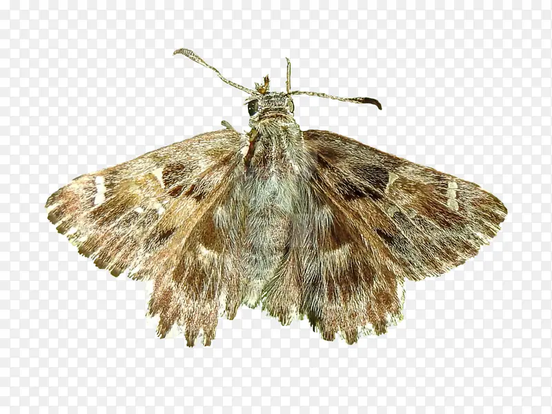 ���� ˢ����� �ɶ�-������