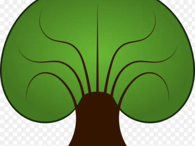 Ҷ�� �� ֲ��-������