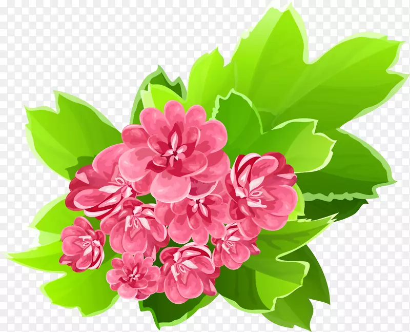 �����ط�װ�ĺ�Ǽ�������-��ʾ�-������