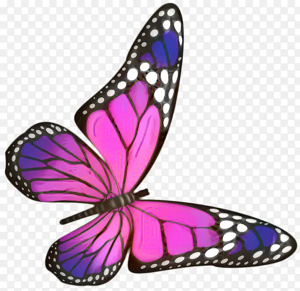 ������ ���� ����-������