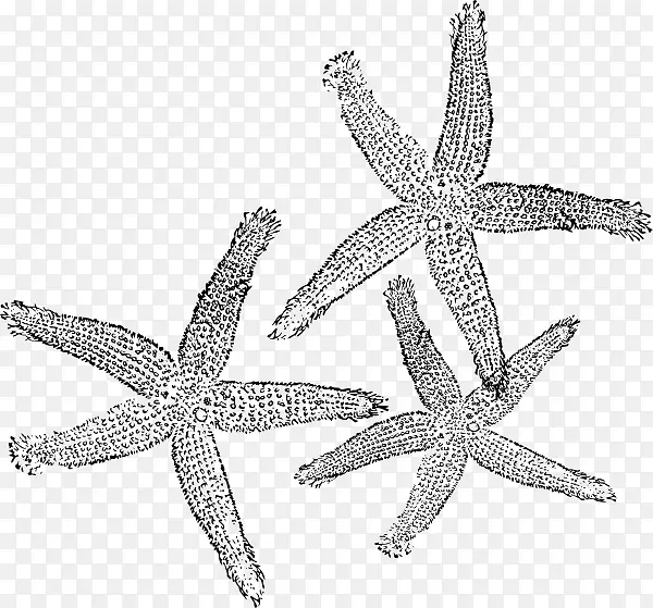 ���� �����鱦 �鱦-������