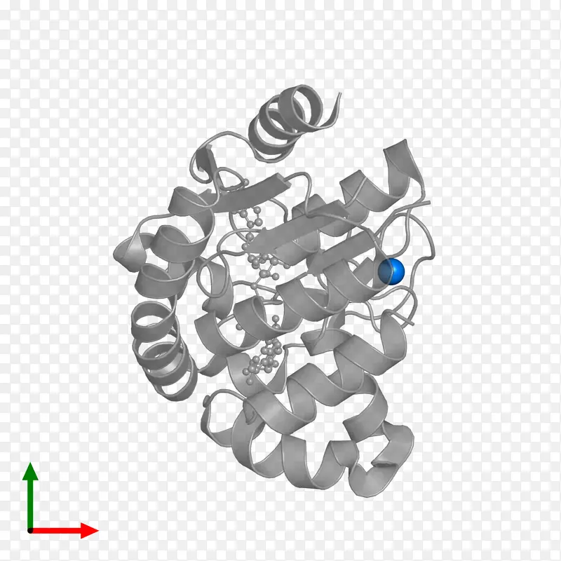 �����鱦 �鱦 ����-������