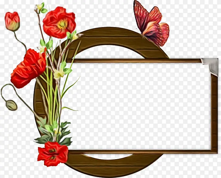 ��԰õ�� ���� ����-������