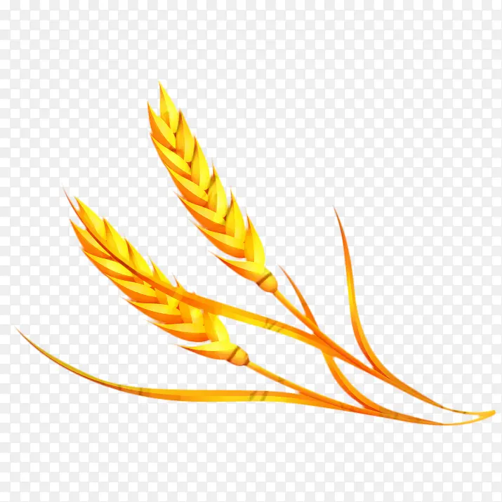 �� �� ����-������