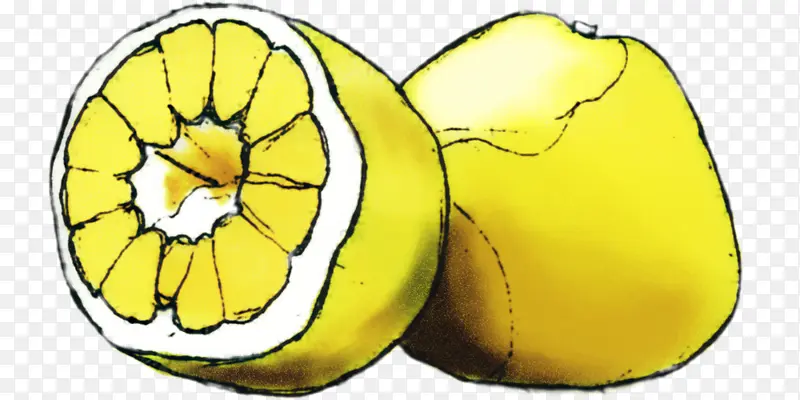 ��ɫ ���� �߲�-������