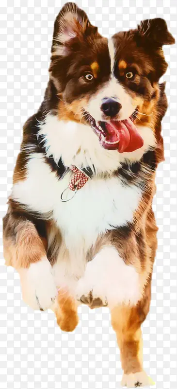 �� è ����-������