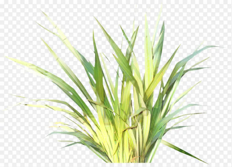 ��� ������԰ ��԰-������