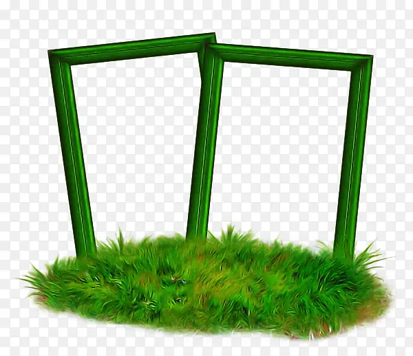 ��ɫ ���� ��-������