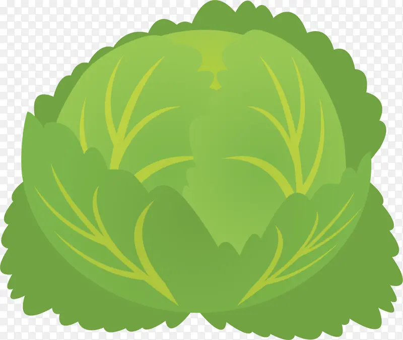 �߲� ��ʳ ���Ĳ�-������