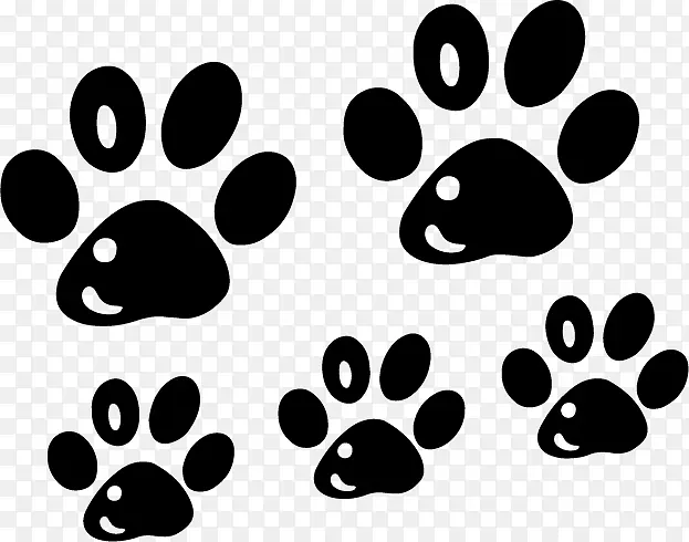 ���� ��ֽ ���ո���ֽ-������