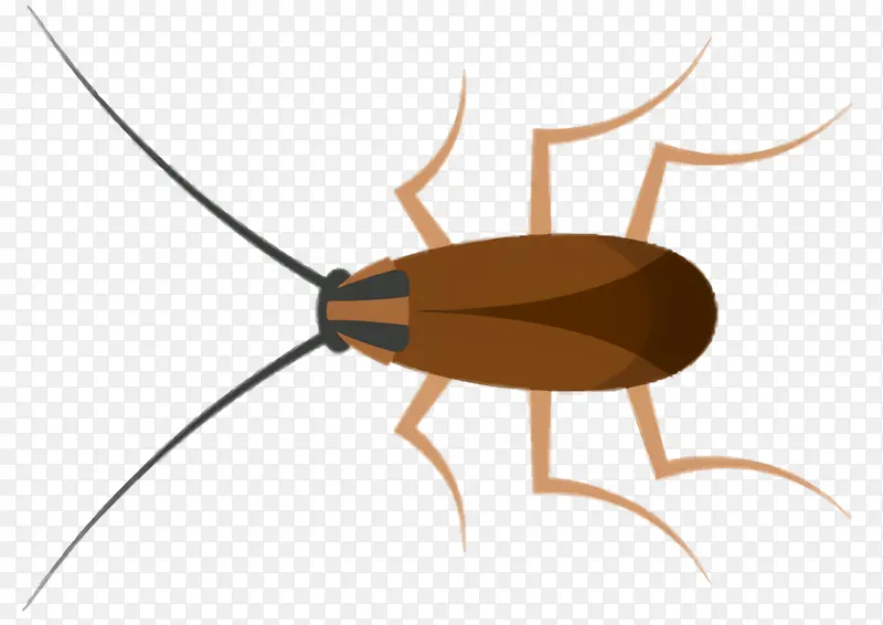 ��� ���� Ĥ-������