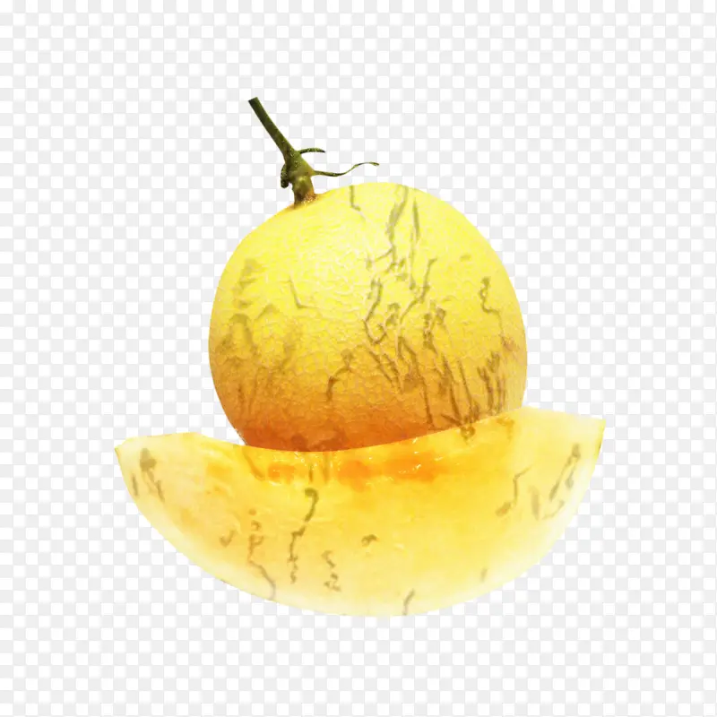 ˮ�� ��ɫ ֲ��-������